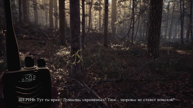 Обзор Blair Witch. Провал ли? смотреть онлайн