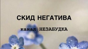 СКИД НЕГАТИВА 😎