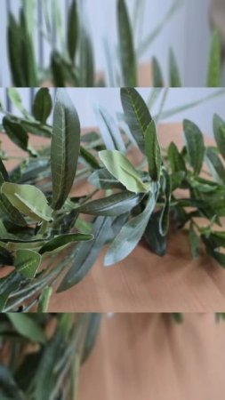 Тайна коричневой краски, которая изменила всё