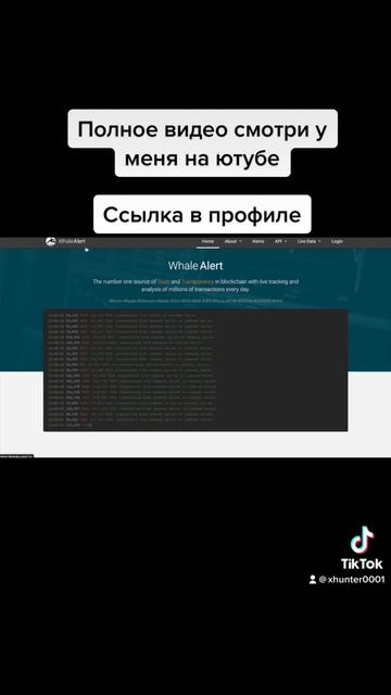 Как следить за кошельками китов #crypto #криптовалюта #free