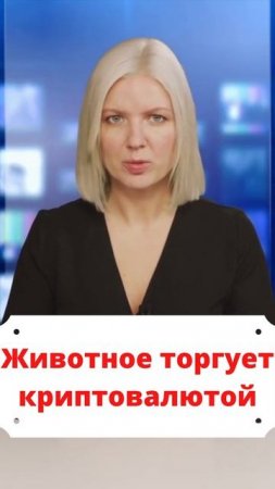Последние новости - хомяк превзошел Уоррена Баффета н?