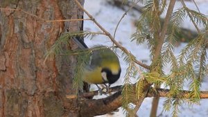 Ну очень вкусный завтрак