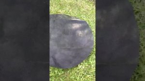 #мульчирование гортензий#гортензии