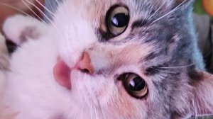 жить хорошо, а хорошо жить ещё лучше