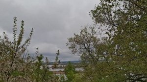 Дача, природа, река