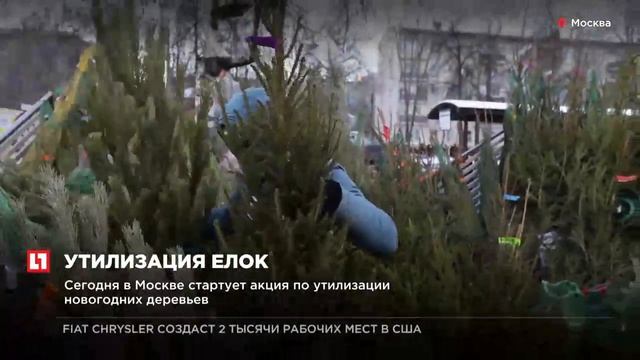 Сегодня в Москве стартует акция по утилизации новогод смотреть онлайн