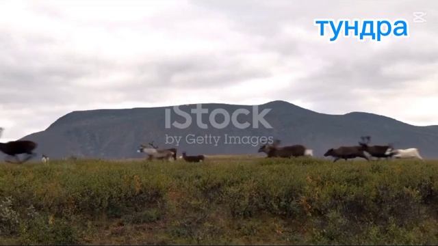 КАК живут северные народы:баня,туалет❗☀️🌎❗#Северн? смотреть онлайн