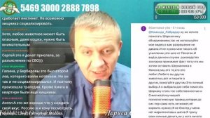 #ЯМЫШЕРХАН Как Европейские кураторы провоцируют ненависть к России - ПРЯМОЙ ЭФИР 17.01.2025