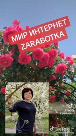 Мир интернет заработка