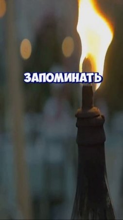 Умные ли комары