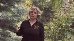 Ты же выжил солдат