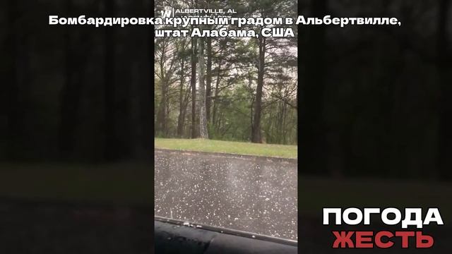 Новости Сегодня 16.04.2025 - ЧП, Катаклизмы, События Дня Мос смотреть онлайн