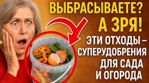 Выбрасываете? А зря! Эти отходы — суперудобрения для сада и огорода