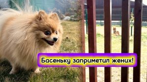 Басю заприметил жених!