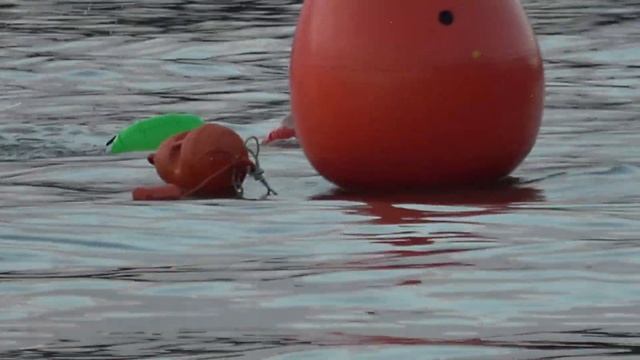 2024_07_Вечерний заплыв "До лампочки" на 10 км - Истринское ? смотреть онлайн