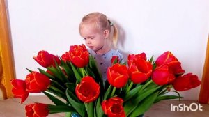 красные тюльпаны 2025г на 8 марта!