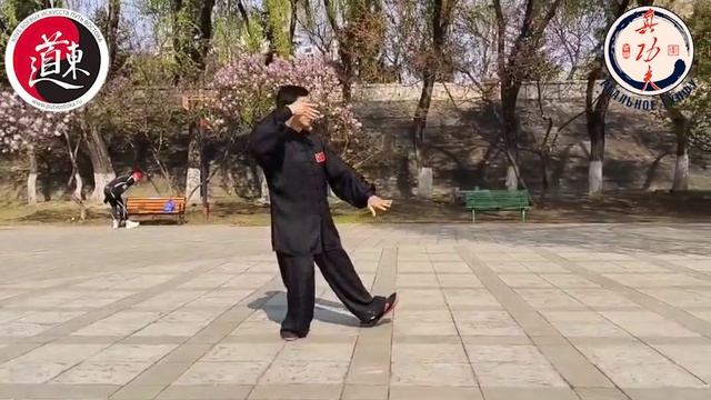 Ма Цзюньэнь, техника тайцзицюань