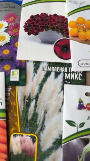 #семена#цветы#огород#овощи#теплица#дача смотреть онлайн