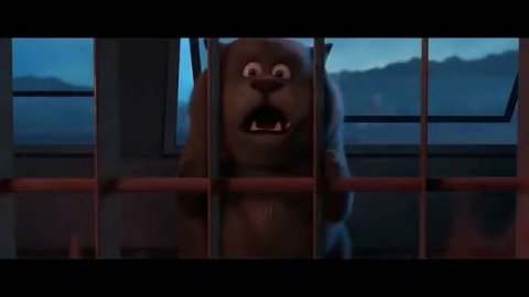 Большой кошачий побег 2018