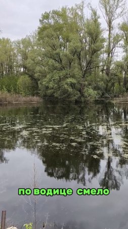 Уточка живёт, не тужит