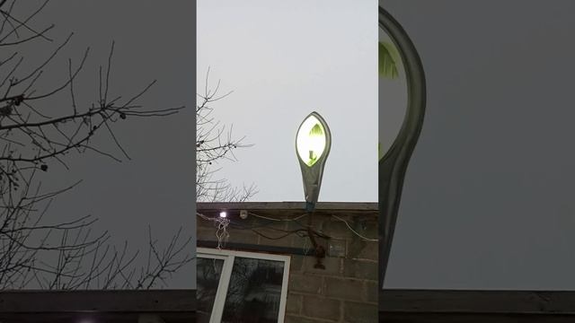 Что стало с пензюком за 4 месяца? У меня появятся новые смотреть онлайн