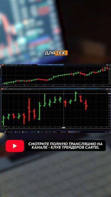 Обзор рынка Акций США I Август 2024