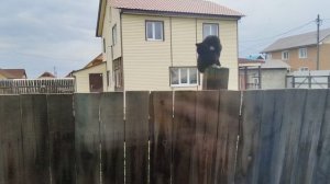 Доброе утро. Утренняя беседа