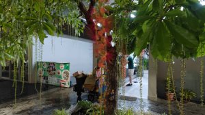 Экскурсия в Бангкок и его провинции.