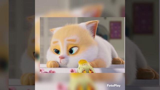 большой кошачий побег/классный мультик всем советую смотреть онлайн