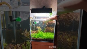 Настройка освещения в аквариуме