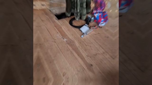 1000023506.mp4 (Собака смотрит на каркас для э/кабелей, установленный в доме А-фрейм)