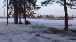 Снегоход РЫБОХОД