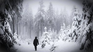 Desiderii Marginis - Silent Messenger