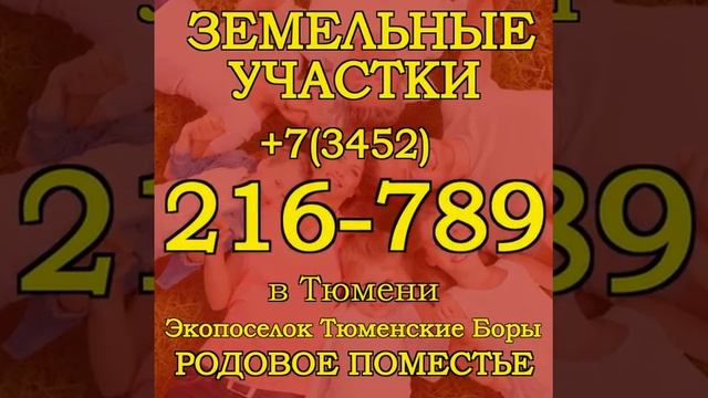 Тюмень Звенящие кедры Тюмень  Родовое поместье  Тюмен?