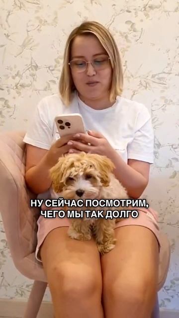 Результаты моей тестовой части первичной аккредитаци смотреть онлайн