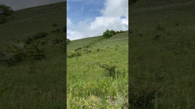 Эндуро Kews k16 nb300. Эндуро это свобода