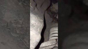 Замена сальников КПП и датчика скорости ГАЗ 3110