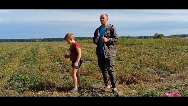 На первом плане дом, а остальное всё потом. Шлифуем стены в доме, приводим всё в порядок