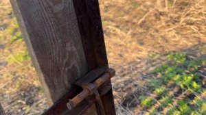 Готовим землю для высадки Табака в грунт