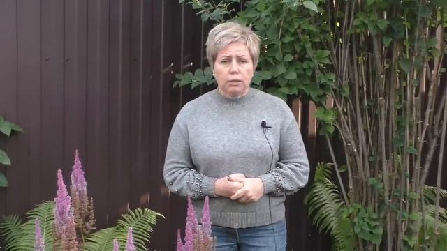 АСТИЛЬБА ВСЕ, ЧТО НУЖНО ЗНАТЬ ОБ УХОДЕ + ПОСАДКА!