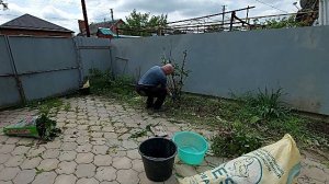 Повзрослели... Раскорчевали розы.