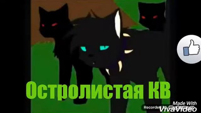 Коты-Воители Клип Кровавое Племя/Бич|Остролистая КВ:3 смотреть онлайн