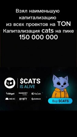 Цена токена X EMPIRE #toncoin #notcoin #maskempire #btc