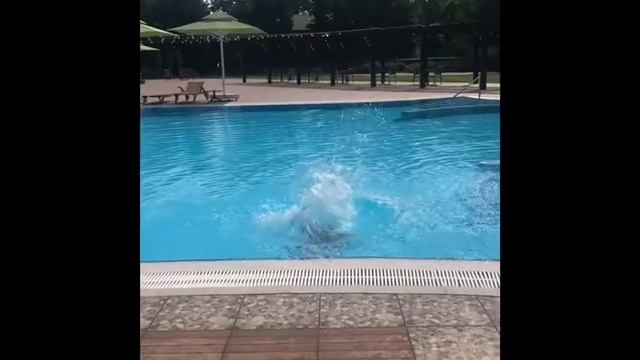 Разные видео смотреть онлайн