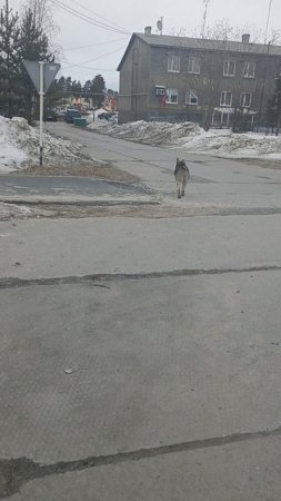Она такая умная,Голубоглазка
