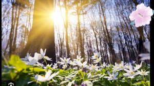 Ожидание весны