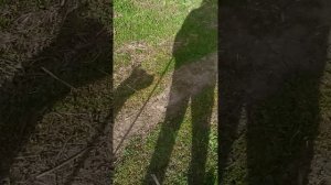 Климент. Шереметьевский приют.