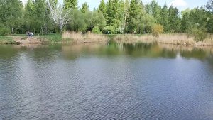 Парк культуры