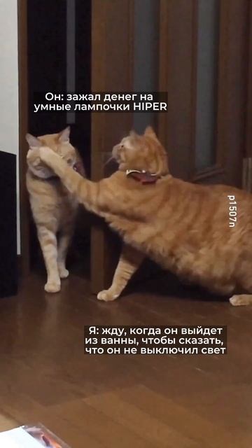 Когда пора купить умные лампочки HIPER) Ссылка в коммент? смотреть онлайн
