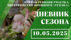 Первая ревизия участка, обустройство овощного «уголка» // 10.05.2025
